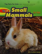 Tapa de Top 10 small mammals for kids