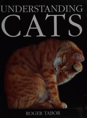 Tapa de Understanding Cats (Premier)