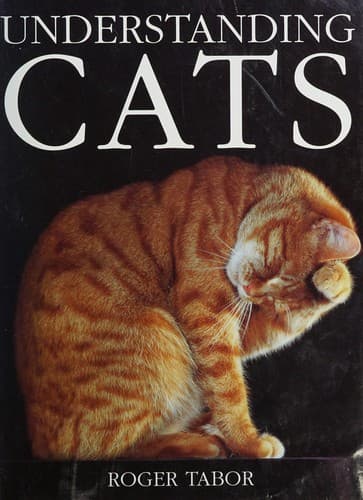 Tapa de Understanding Cats