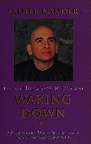 Tapa de Waking Down: Beyond Hypermasculine Dharmas