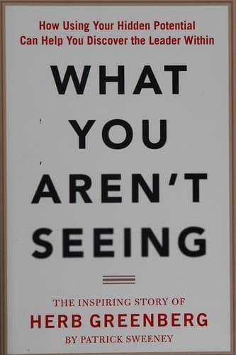 Tapa de What You Aren't Seeing