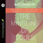 Tapa de The Mingling of Souls
