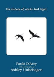 Tapa de The Silence of Words and Light