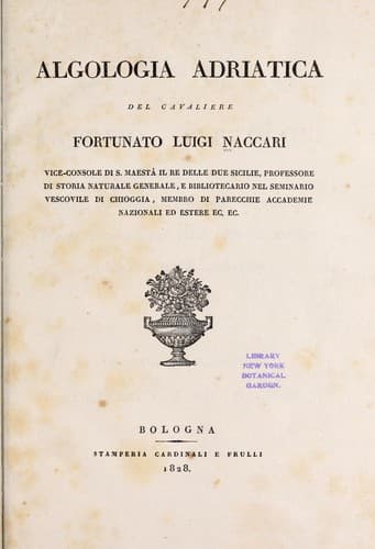 Tapa de Algologia adriatica