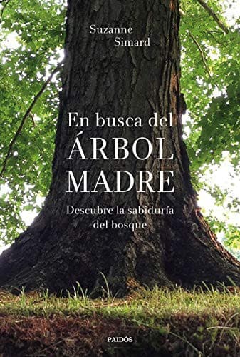 Tapa de En busca del Árbol Madre