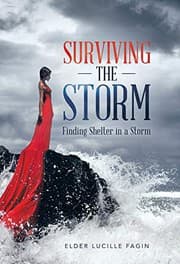 Tapa de Surviving the Storm
