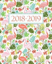 Tapa de Agenda settimanale 2018-2019 : Anno scolastico agenda dello studente, docente, prefessore, e insegnante : 19x23cm
