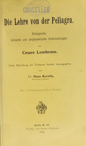 Tapa de Die Lehre von der Pellagra