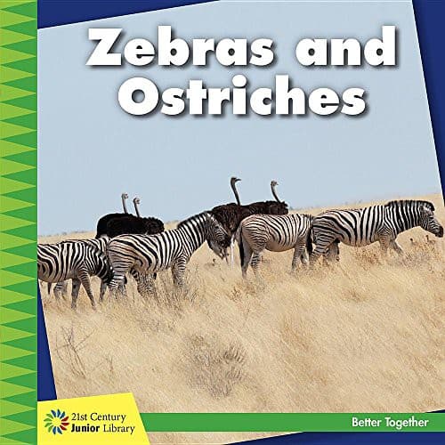 Tapa de Zebras and Ostriches