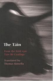 Tapa de The Tain