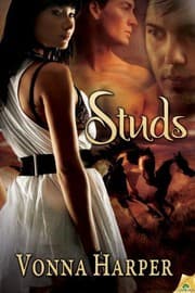 Tapa de Studs
