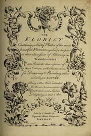 Tapa de The florist