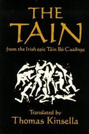 Tapa de The Táin