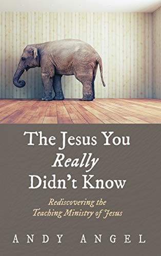 Tapa de The Jesus You Really Didn't Know