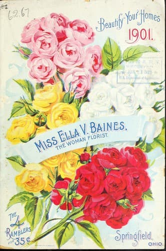 Tapa de Beautify your homes