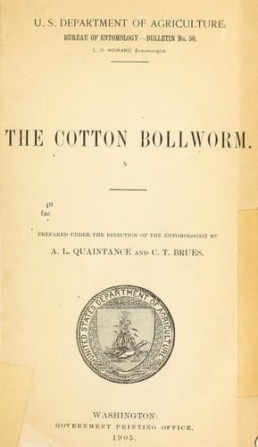 Tapa de The cotton bollworm