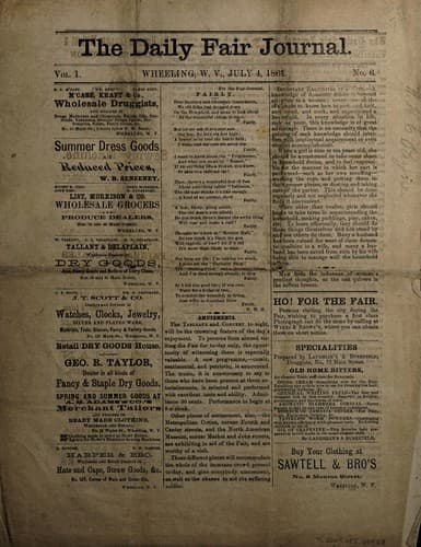 Tapa de The daily fair journal