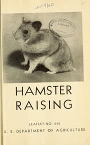 Tapa de Hamster raising