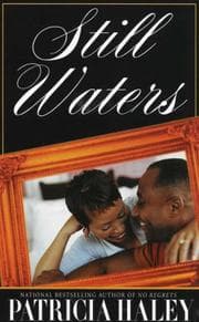 Tapa de Still Waters