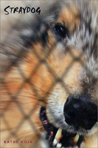 Tapa de Straydog