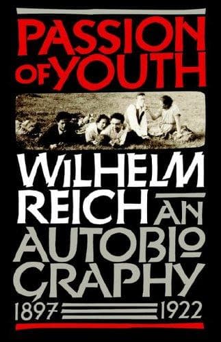Tapa de Passion of Youth