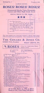 Tapa de Latest counts roses! roses! roses! ornamental shrubs, vines, perennials, cannas and other high grade stock