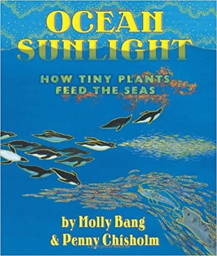 Tapa de Ocean Sunlight