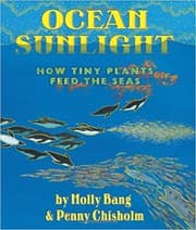 Tapa de Ocean Sunlight