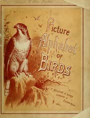 Tapa de Picture alphabet of birds