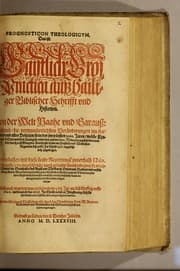 Tapa de Prognosticon theologicum, das ist: Gaistlich grosse Practica auss hailiger Biblischer Schrifft vnd Historien