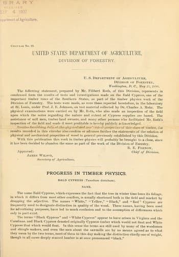 Tapa de Progress in timber physics