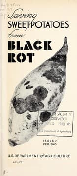 Tapa de Saving sweetpotatoes from black rot
