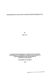 Tapa de Transcriptional initiation of sorghum mitochondrial DNA