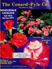 Tapa de Wholesale catalog