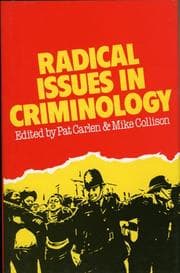 Tapa de Radical issues in criminology