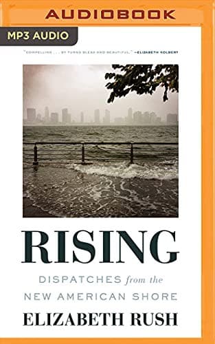 Tapa de Rising