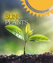 Tapa de The Sun and Plants
