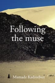 Tapa de Following the Muse