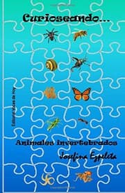 Tapa de Curioseando... Animales invertebrados
