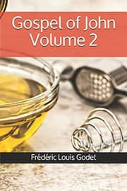 Tapa de Gospel of John Volume 2