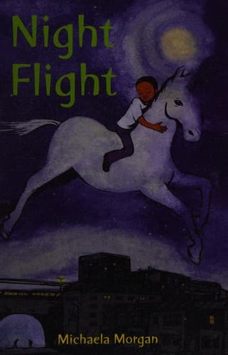 Tapa de Night flight