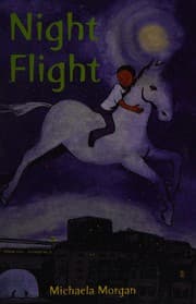 Tapa de Night flight