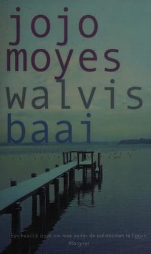 Tapa de Walvisbaai