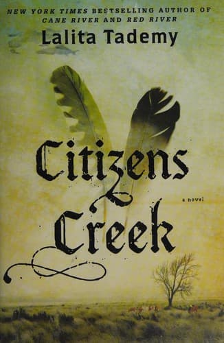 Tapa de Citizens Creek