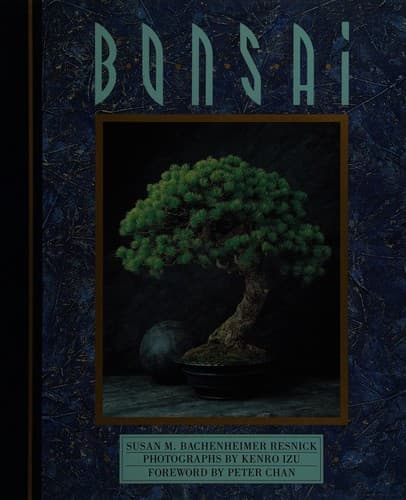 Tapa de Bonsai