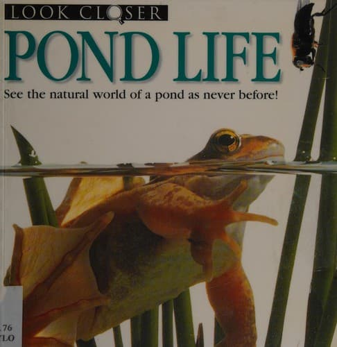 Tapa de Pond life