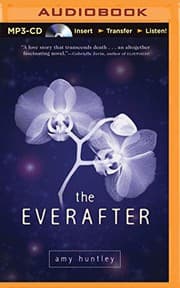 Tapa de Everafter, The