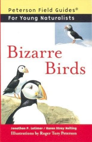 Tapa de Bizarre birds