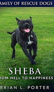 Tapa de Sheba