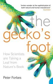 Tapa de The Gecko’s Foot